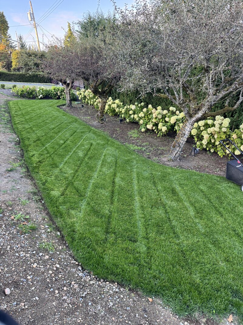 Striped lawn pattern on a garden property